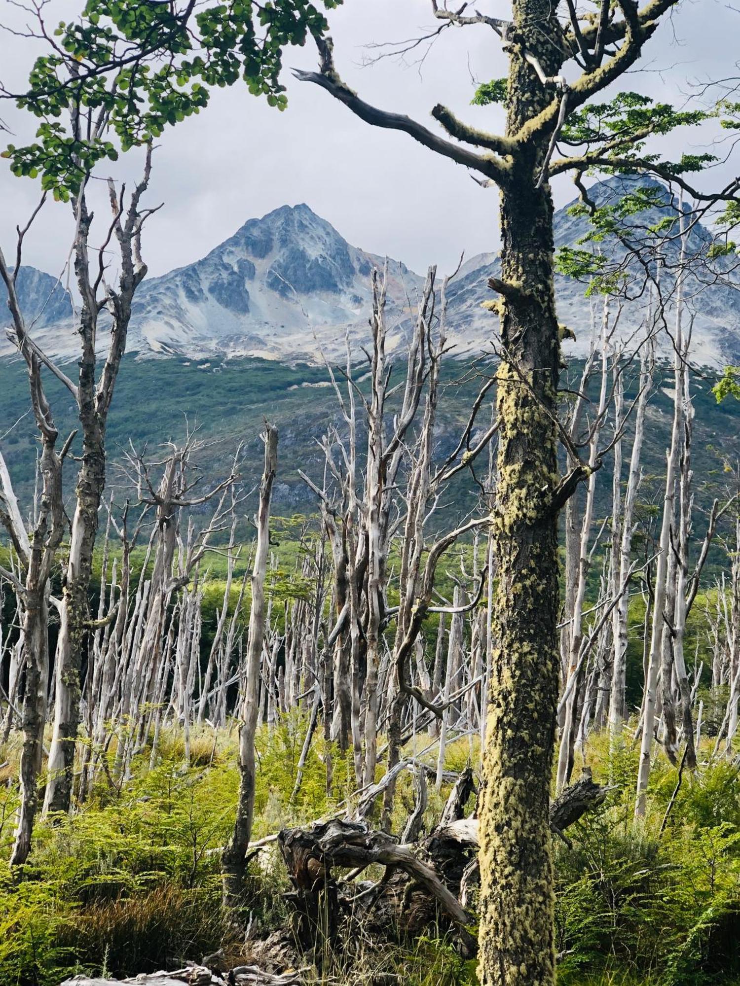 Mirando Al Canal Ushuaia Luaran gambar